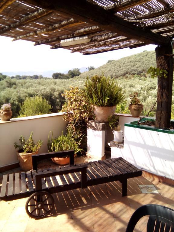 Masseria Sparano Villa Battipaglia Eksteriør bilde